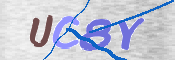Obrazek CAPTCHA